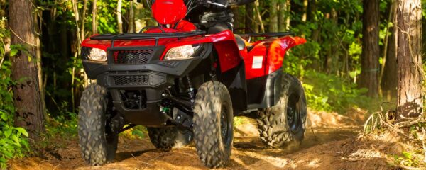 Suzuki LT-A750X - Image 6
