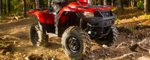 Suzuki LT-A750X - Image 3
