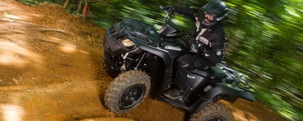 Suzuki LT-A750X - Image 4
