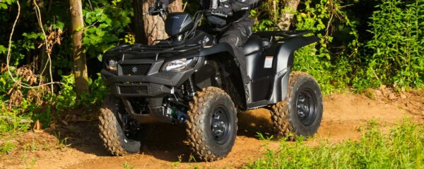 Suzuki LT-A750X - Image 5