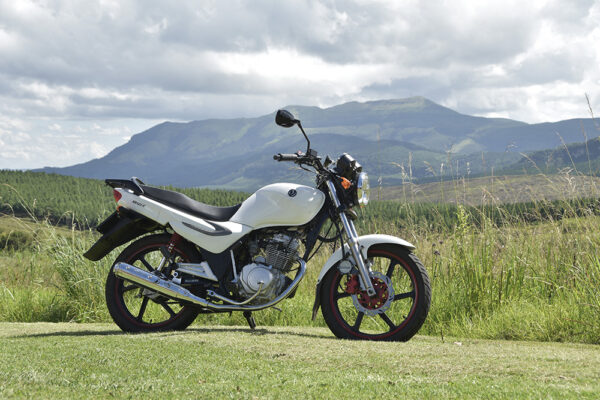 SYM XS 125-K – DELIVERY BIKE - Image 2