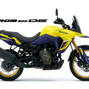 Suzuki V-STROM DL800 DE