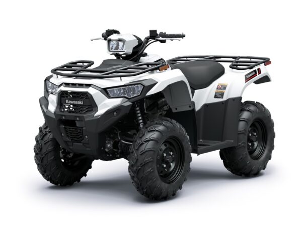 Brute Force 450 4×4 – 2025 - Image 4