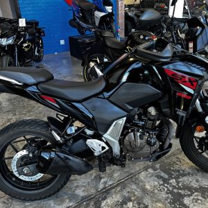 IMG_6282 2023 Suzuki DS250 V Storm